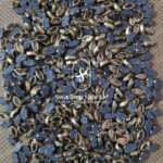 6K Eye Gold Colour Glossy Kundans