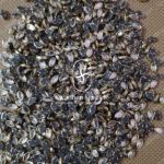6K Eye White Colour Glossy Kundans