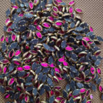8K Eye Rani Pink Colour Glossy Kundans