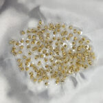 Gold Earring Stopper