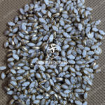 6K Eye Ceramic White Colour Kundans