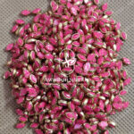 6K Eye Pink Colour Matt Kundans