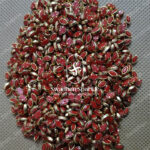 6K Eye Red Colour Matt Kundans