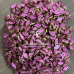 8K Eye Light Pink Colour Matt Kundans