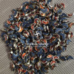Moon Orange Colour Glossy Kundans