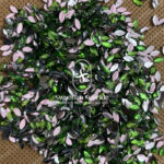Raindrop Materials Eye Shape - Light Green