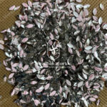 Raindrop Materials Eye Shape - White